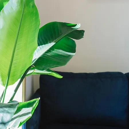 Campanha By Stories Apartamento