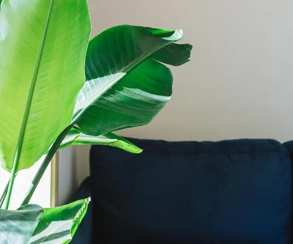 Campanha By Stories דירה